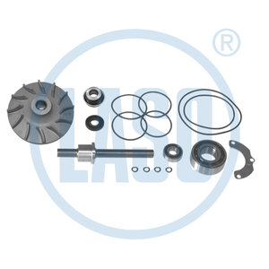 Reparo Bomba de Agua TD102 TD103E F10