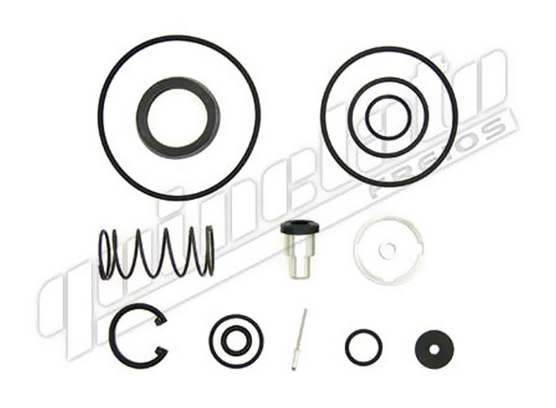 REPARO VALVULA (D67RK009A) QUINELATO